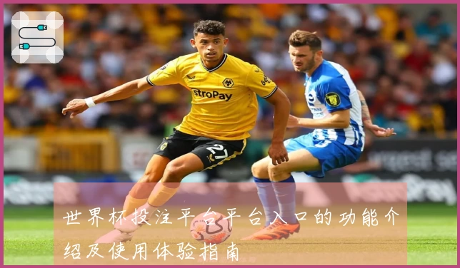 世界杯投注平台平台入口的功能介绍及使用体验指南