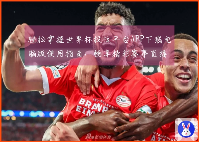 轻松掌握世界杯投注平台APP下载电脑版使用指南，畅享精彩赛事直播体验