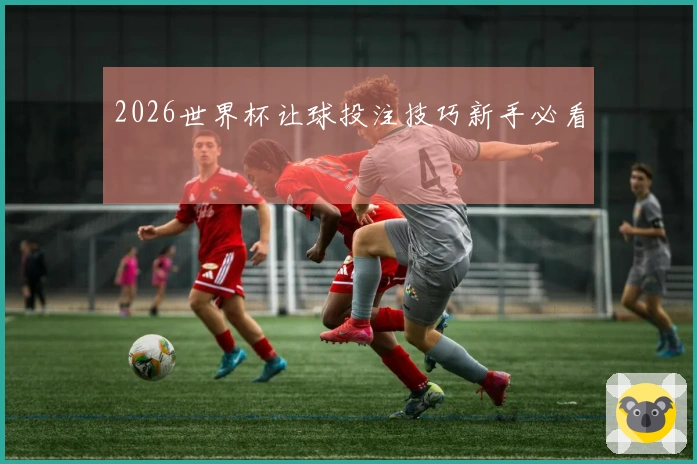 2026世界杯让球投注技巧新手必看