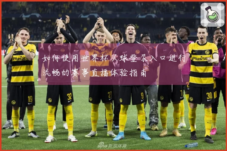 如何使用世界杯买球登录入口进行流畅的赛事直播体验指南