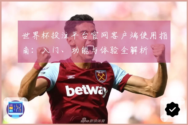 世界杯投注平台官网客户端使用指南：入门、功能与体验全解析