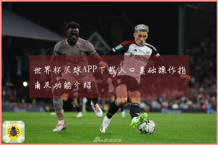 世界杯买球APP下载入口基础操作指南及功能介绍
